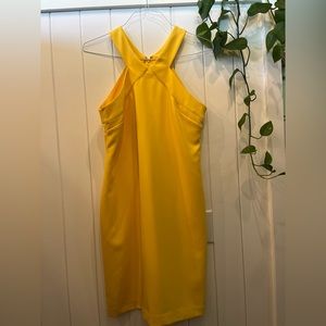 Laundry dress, very cute